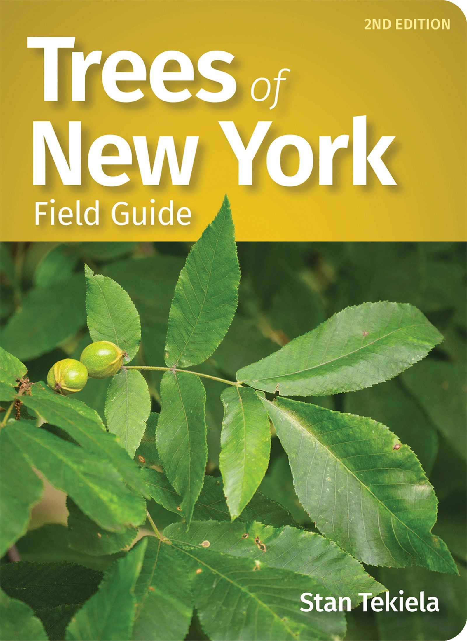 Book cover image for Trees of New York Field Guide ISBN: 9781647552718